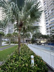 The Parc Condominium (D5), Condominium #459254691